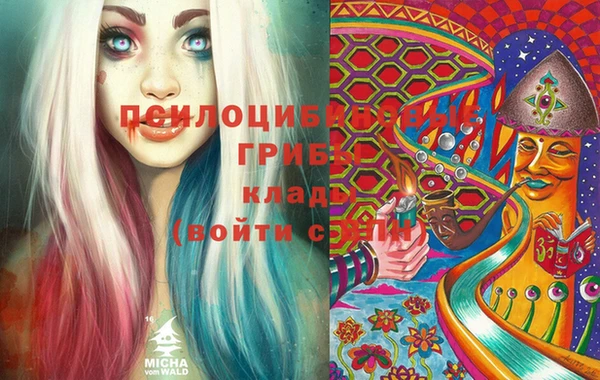 не бодяженный Абаза